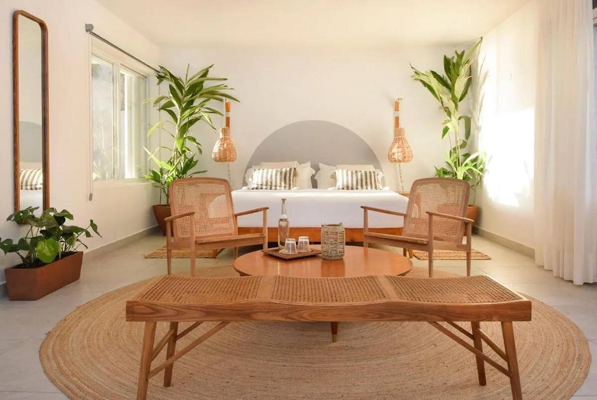 Gorgeous Beach Front House Cozumel Mexico