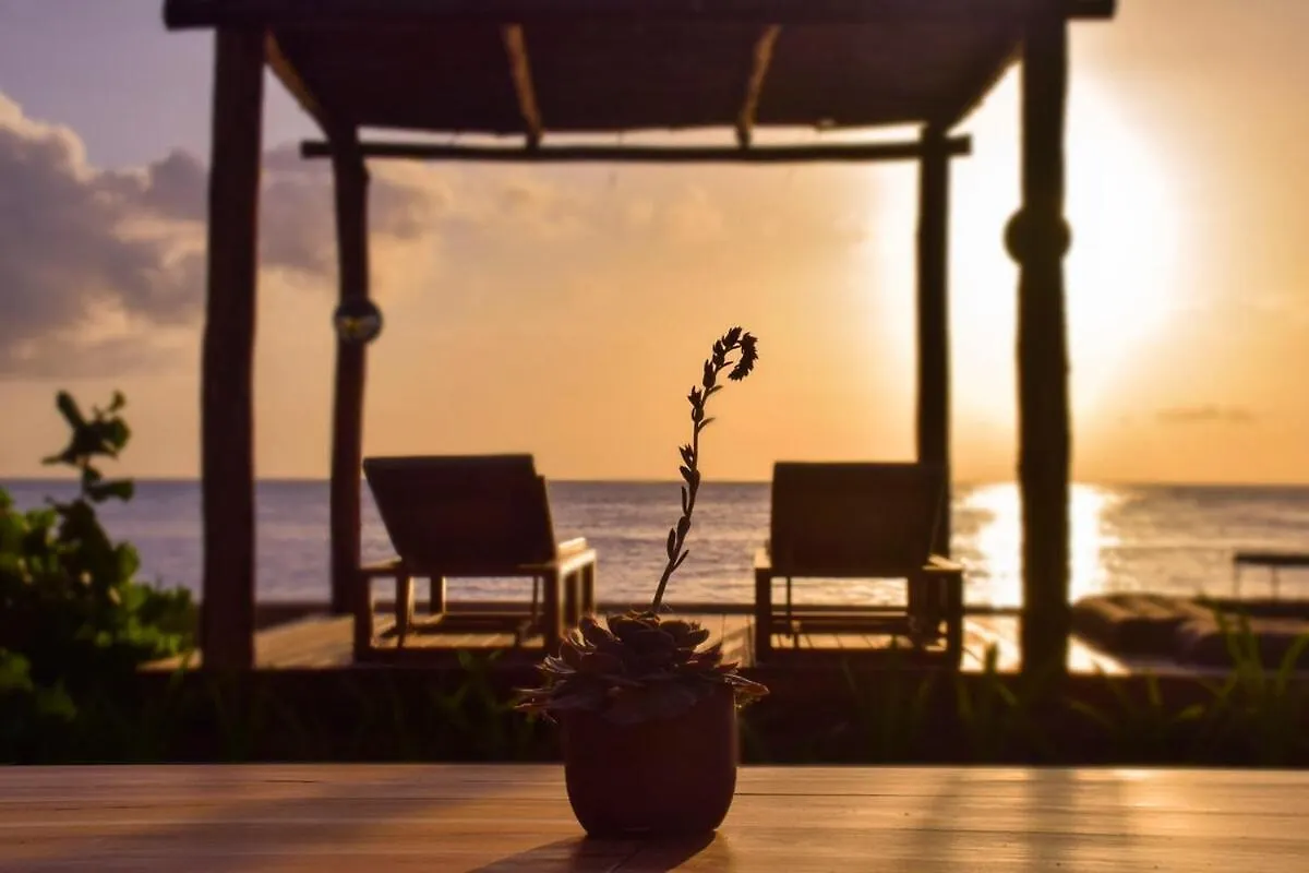 Gorgeous Beach Front House Cozumel Villa