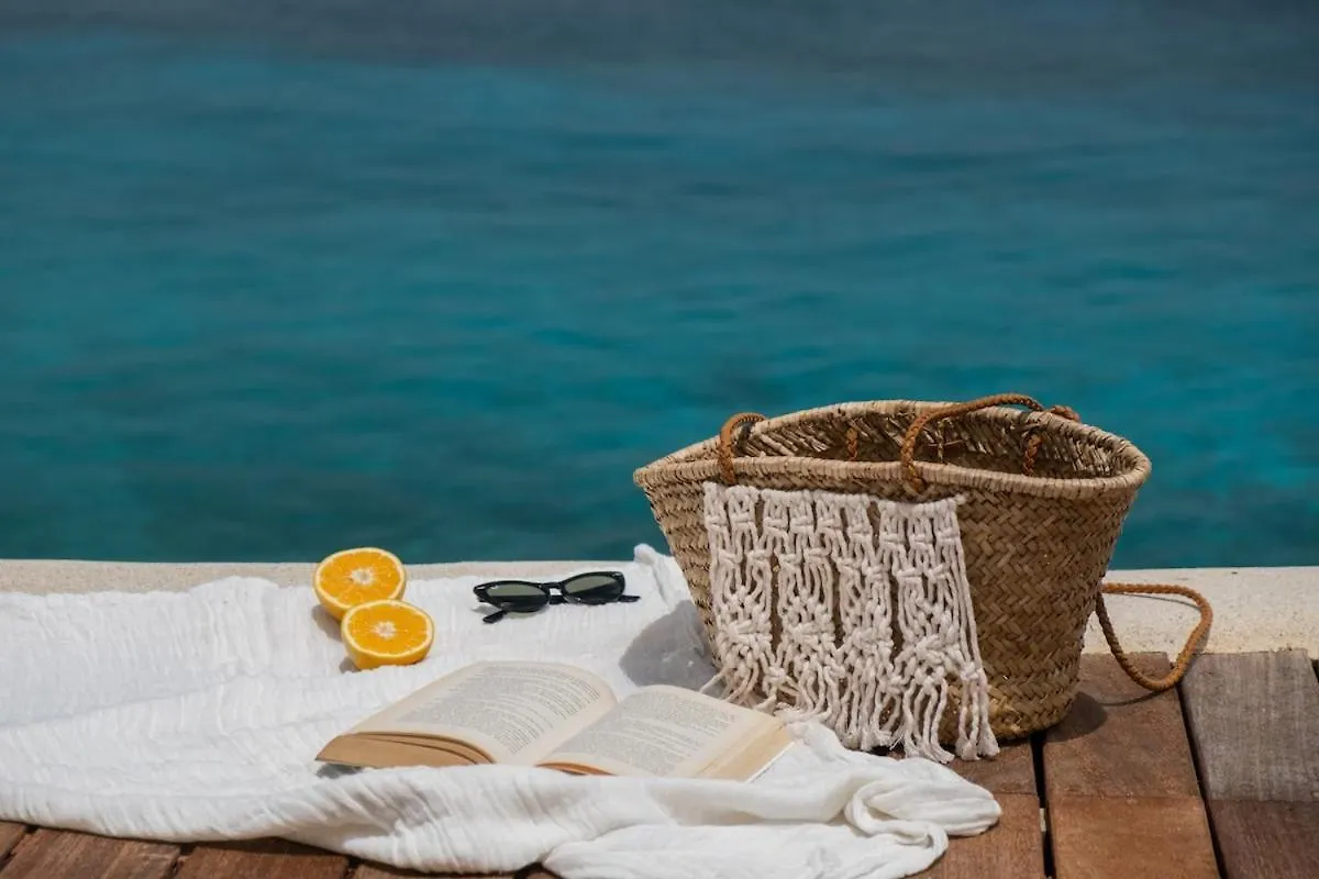 Gorgeous Beach Front House Cozumel Villa