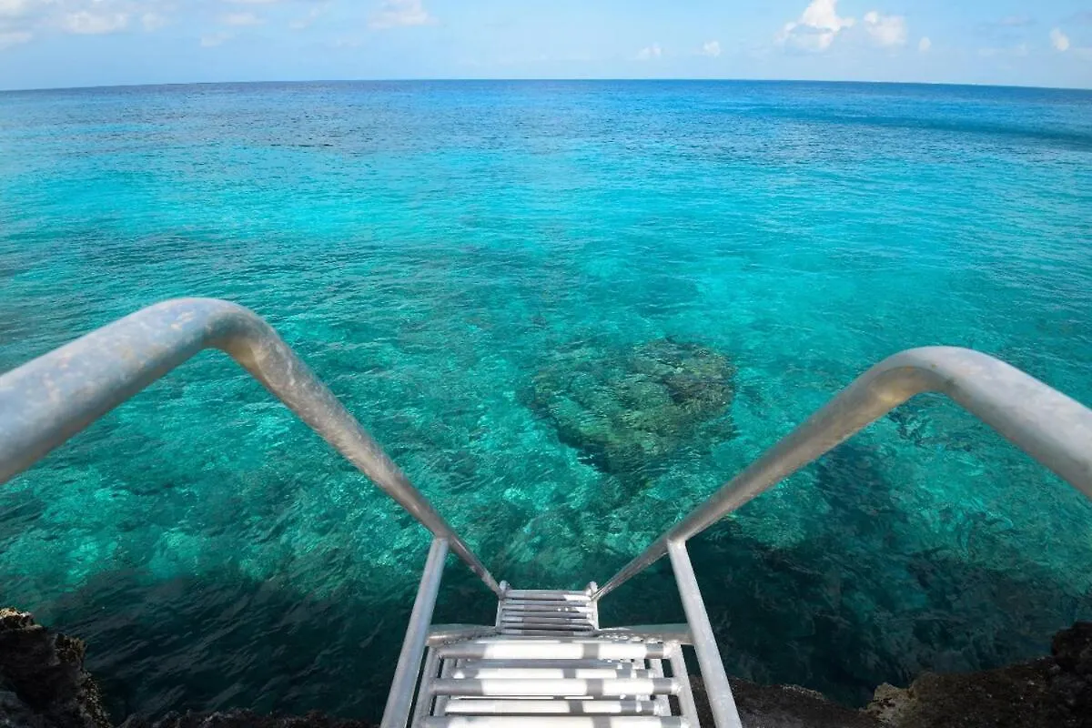 Gorgeous Beach Front House Cozumel Villa