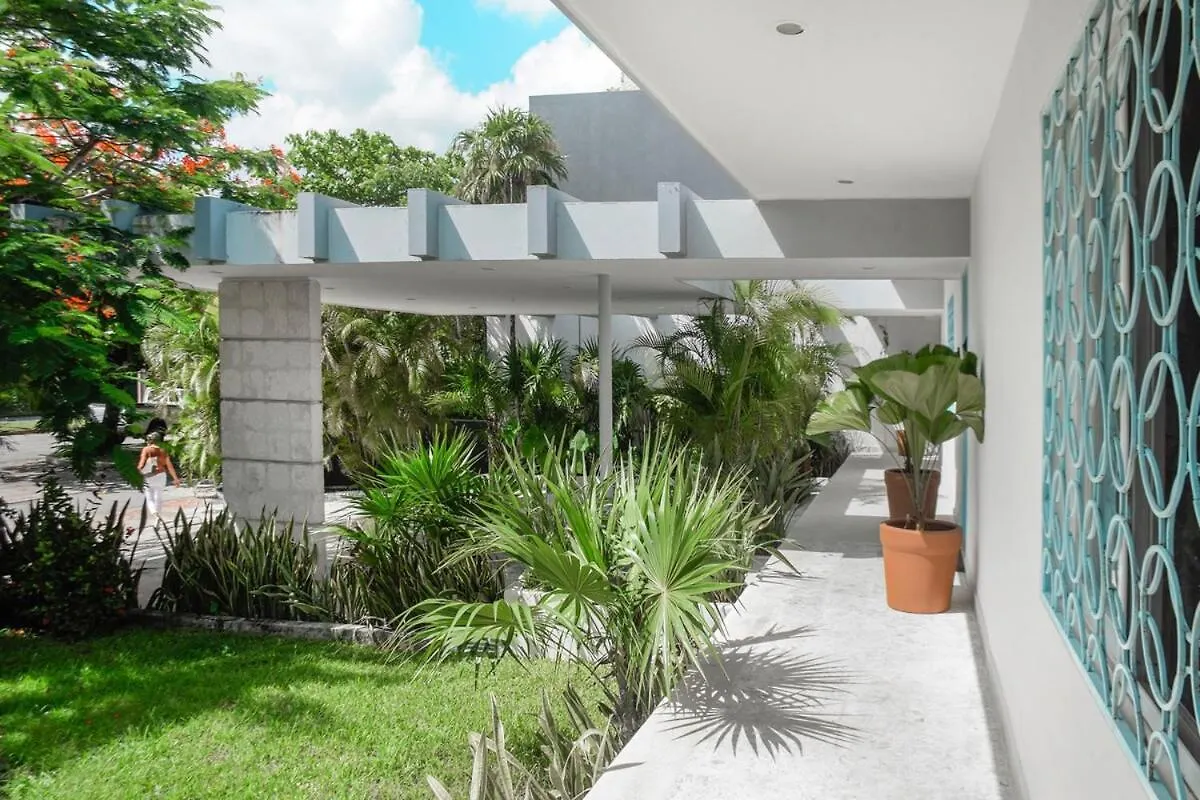 Gorgeous Beach Front House Cozumel Mexico