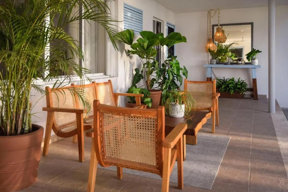 Gorgeous Beach Front House Cozumel 0*,
